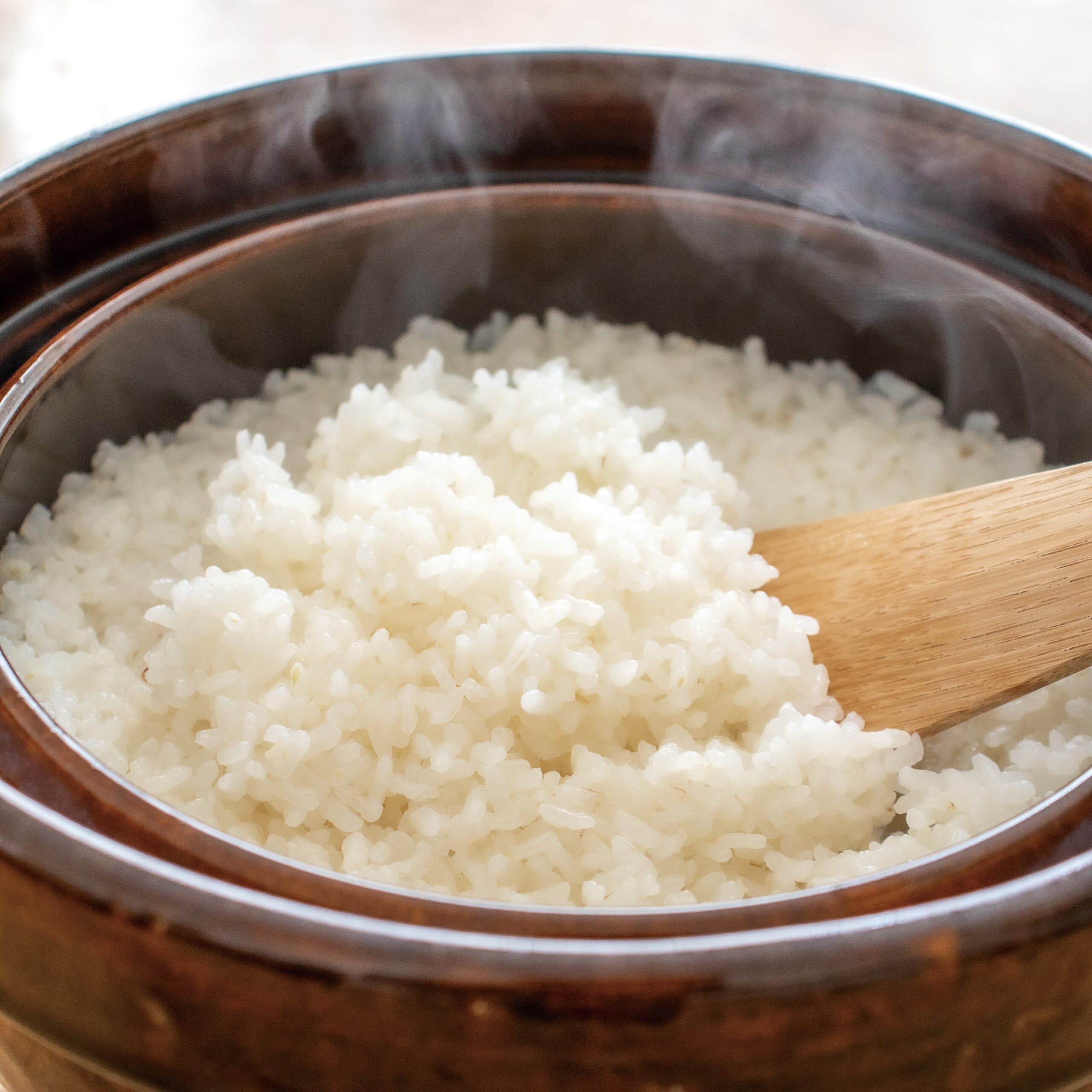 長谷園ロースト土鍋〈有元葉子〉 FRaUweb」料理家 有元葉子さんの 