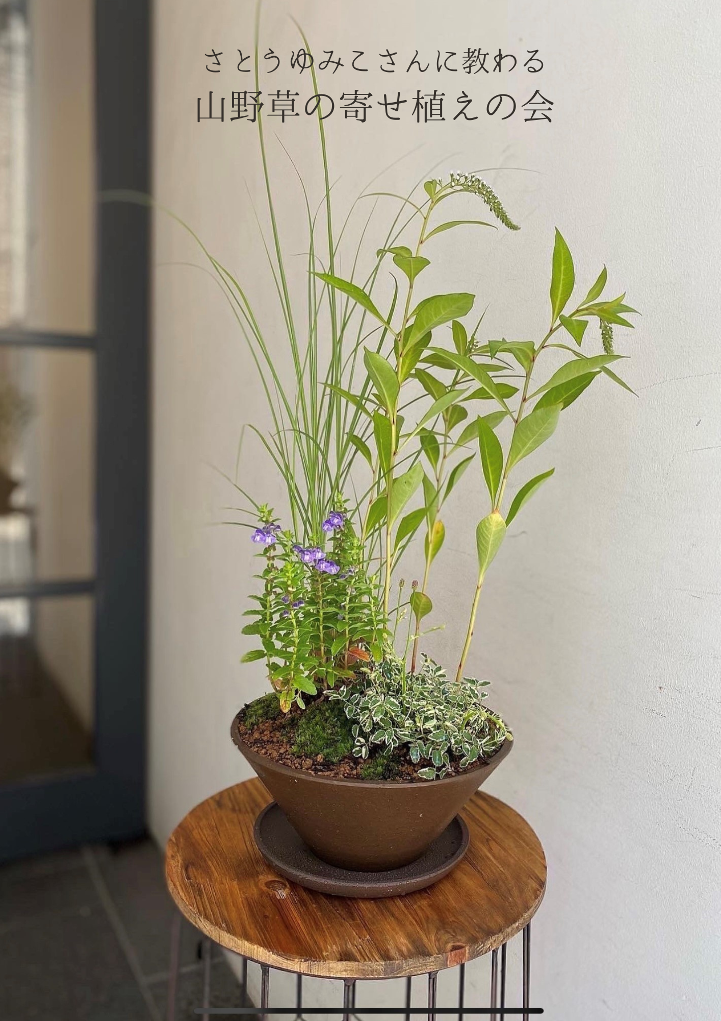 さとうゆみこさんに教わる-山